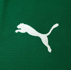 Camisa Palmeiras I 26/27 - TORCEDOR