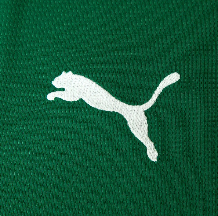 Camisa Palmeiras I 26/27 - TORCEDOR