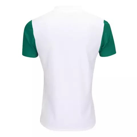 Camisa Palmeiras II 25/26 - TORCEDOR