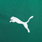 Camisa Palmeiras I 25/26 - TORCEDOR